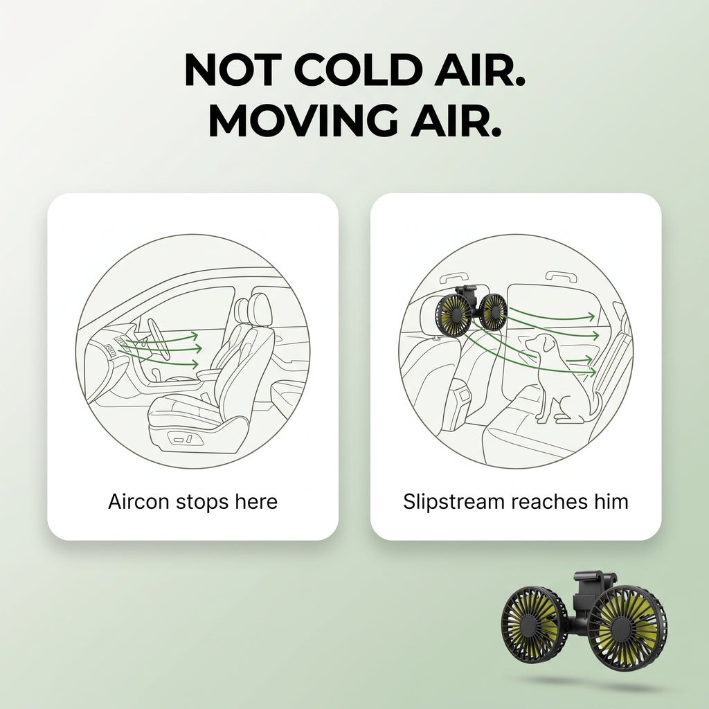 Not cold air — moving air, aimed at your dog